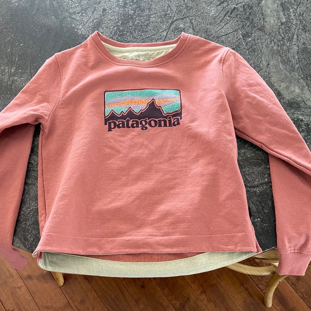 NWT - Patagonia Women’s Sweatshirt SM